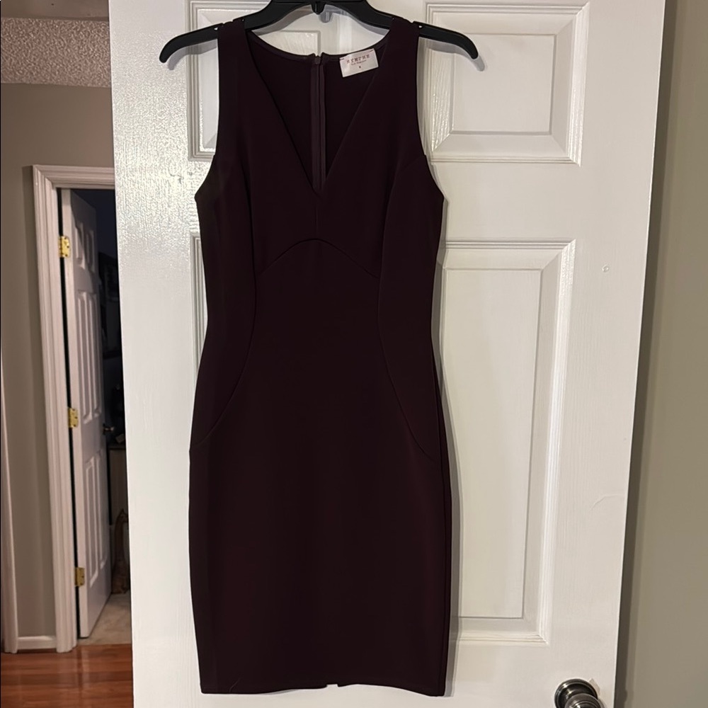 Elegant Burgundy Sleeveless Dress